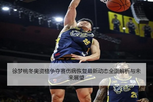 徐梦桃冬奥资格争夺赛伤病恢复最新动态全面解析与未来展望 - Sports